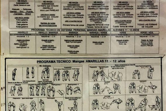 Corazonistas-Programa tco-Comp